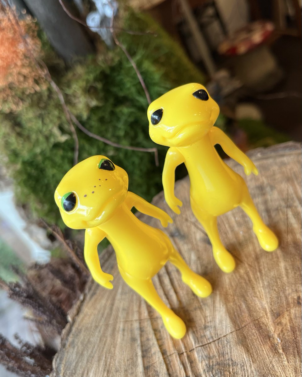 ワンダショップオフィシャル (@wandashop_S) / Posts / X