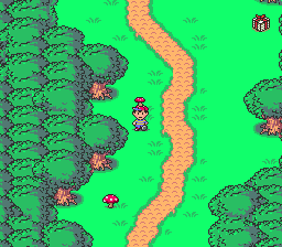 Thedoct47621749's tweet image. #DocBound Shroom are on me