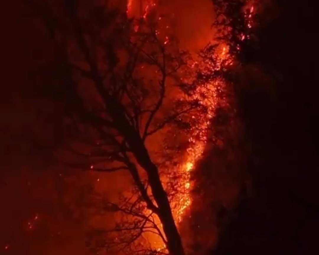 taraw_kh's tweet image. از مغول ها و ویرانگری هاشون شنیدیم،
اما جمهوری اسلامی رو دیدیم.
#هیرکانی