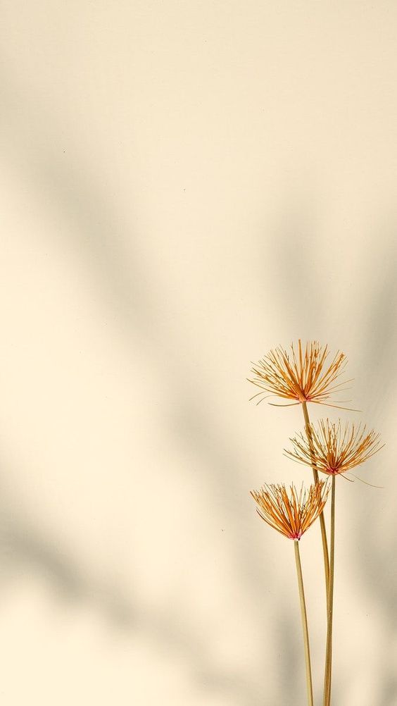 쏘쿨 (@socoolmakeup) on Twitter photo 