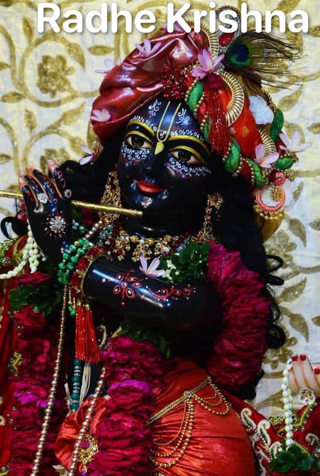 puji1110's tweet image. ॐ नमो भगवते वासुदेवाय नमः 🚩🙏