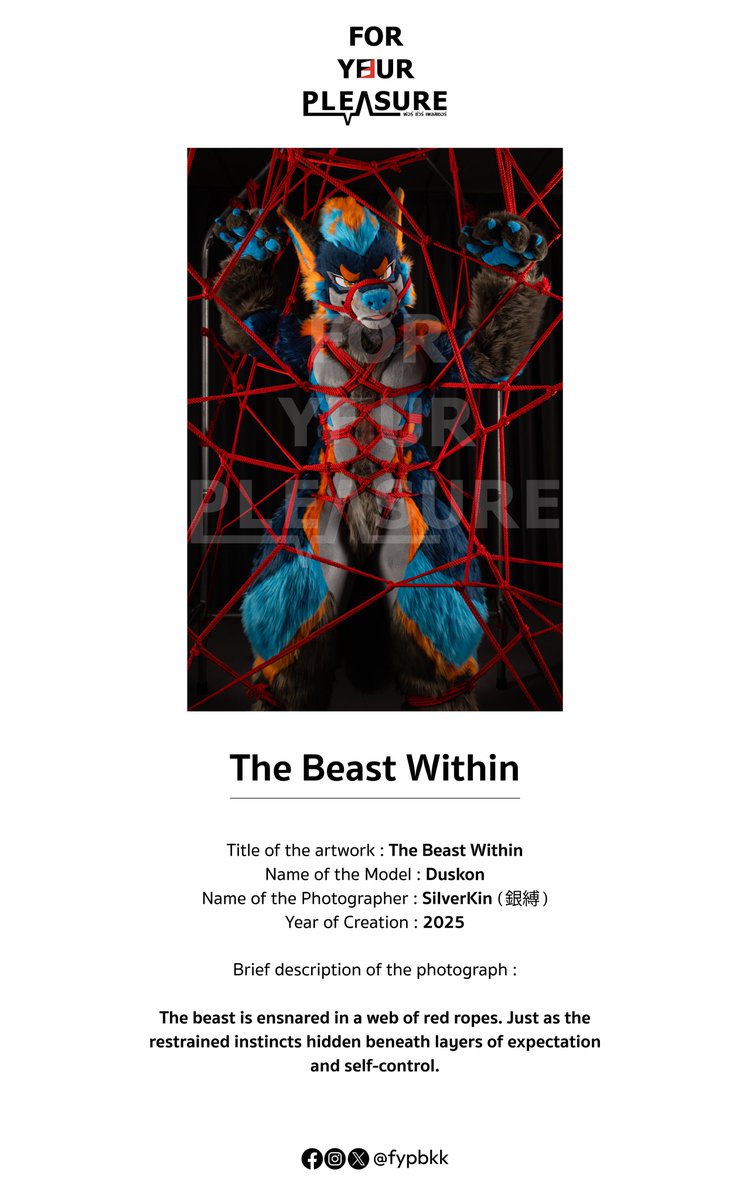 銀縛 - Shibari tweet media