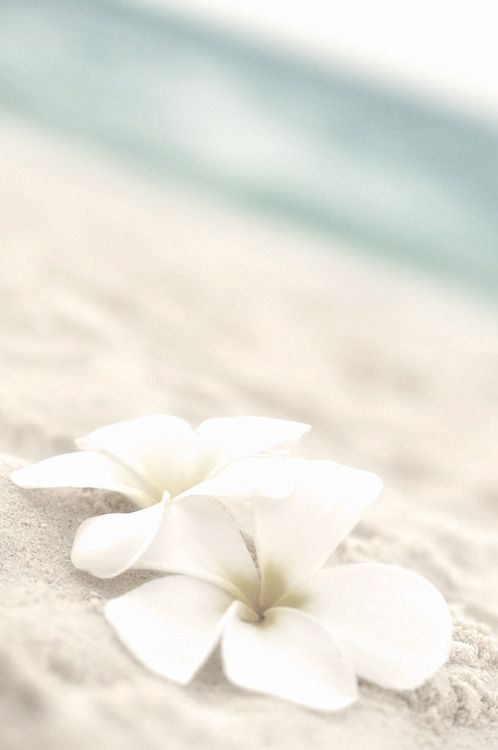 하지순 (@hajijisoon) on Twitter photo 