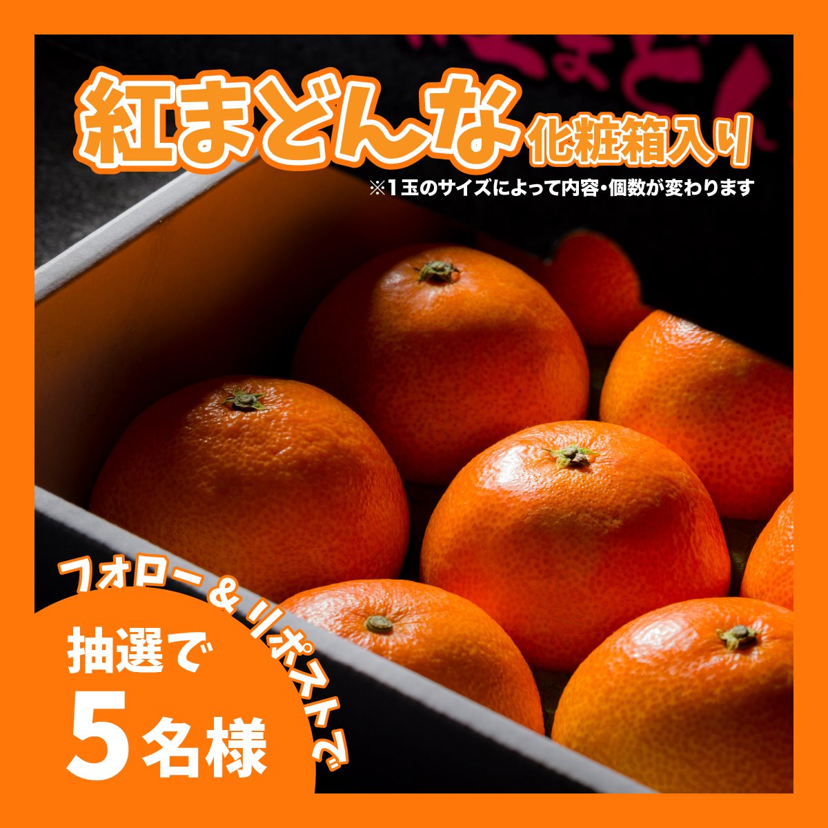 むー🦦⟡.·*. (@mu_mu_men) / Posts / X