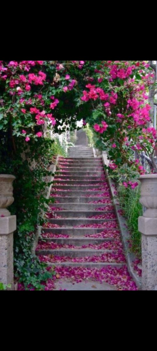 همسه صباحيه لقلوبكم 
التفاؤل شمعة مضيئة ☘️
داخل كل إنسان ورسالة من رسائل الأمل للقلب والروح🌱 والعقل تدعونا دائماً للتفاؤل ☘️
بأن القادم أجمل 🌱
لكل من يقرأ صباحكم جميل🌱 وراقي مثل حضوركم الجميل
☘️ #صباح_الخير ☘️