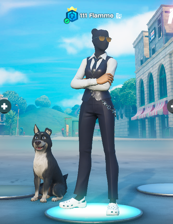 como pq hay un perro en mi lobby