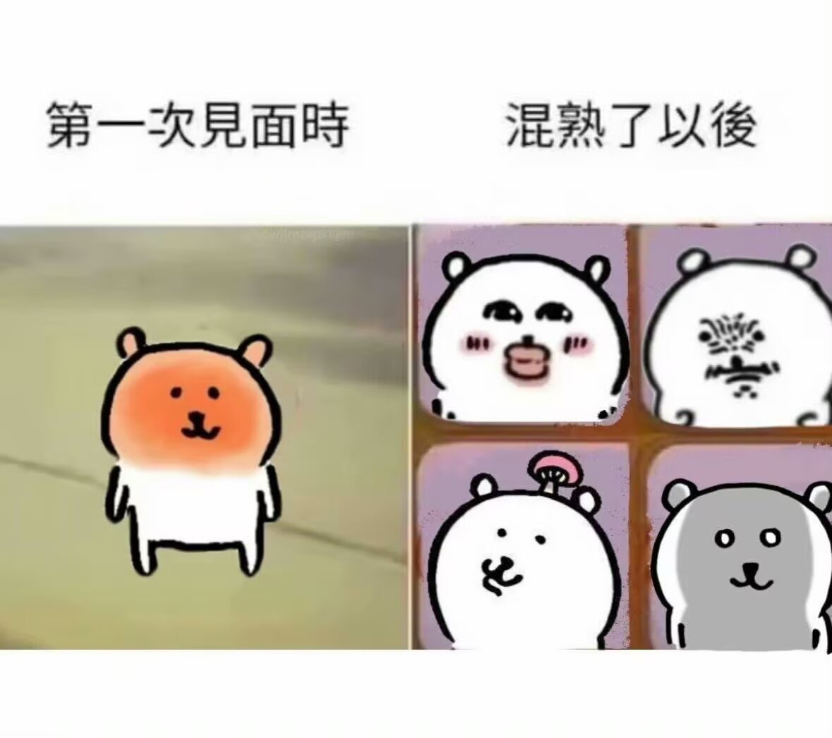 饮茶喔🍵 (@yinchaou) on Twitter photo 