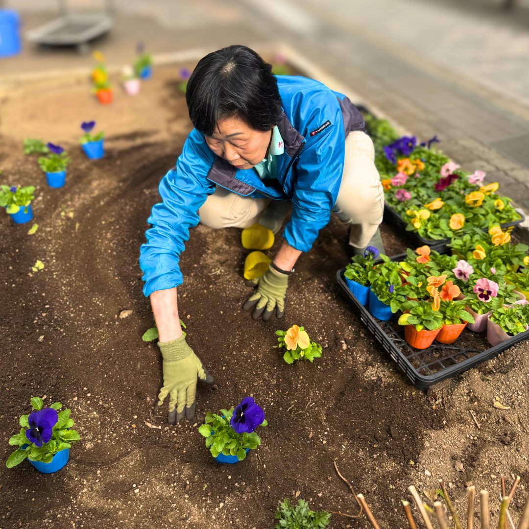 kobe_ipc's tweet image. 【ちょっと裏話🌱】

財団がオフィスを構える
神戸市産業振興センター“裏出口”花壇に
パンジーとノースポールが仲間入り🌸

入居者有志の方たちと
いつも清掃してくださるスタッフさんが
心を込めて植えてくださいました📸

お越しの際は裏口の
小さな彩りもお楽しみください😊

#感謝の気持ち