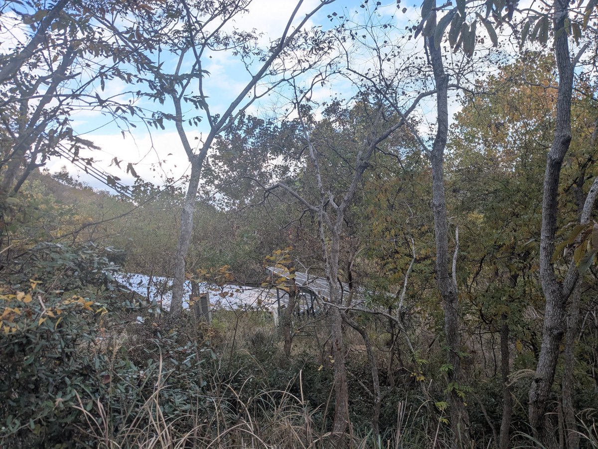 h_secondlife's tweet image. 小高い山を散歩
頂上付近に何かあると思って近づくとソーラー
要らんって!!

 #散歩 #田舎暮らし #移住