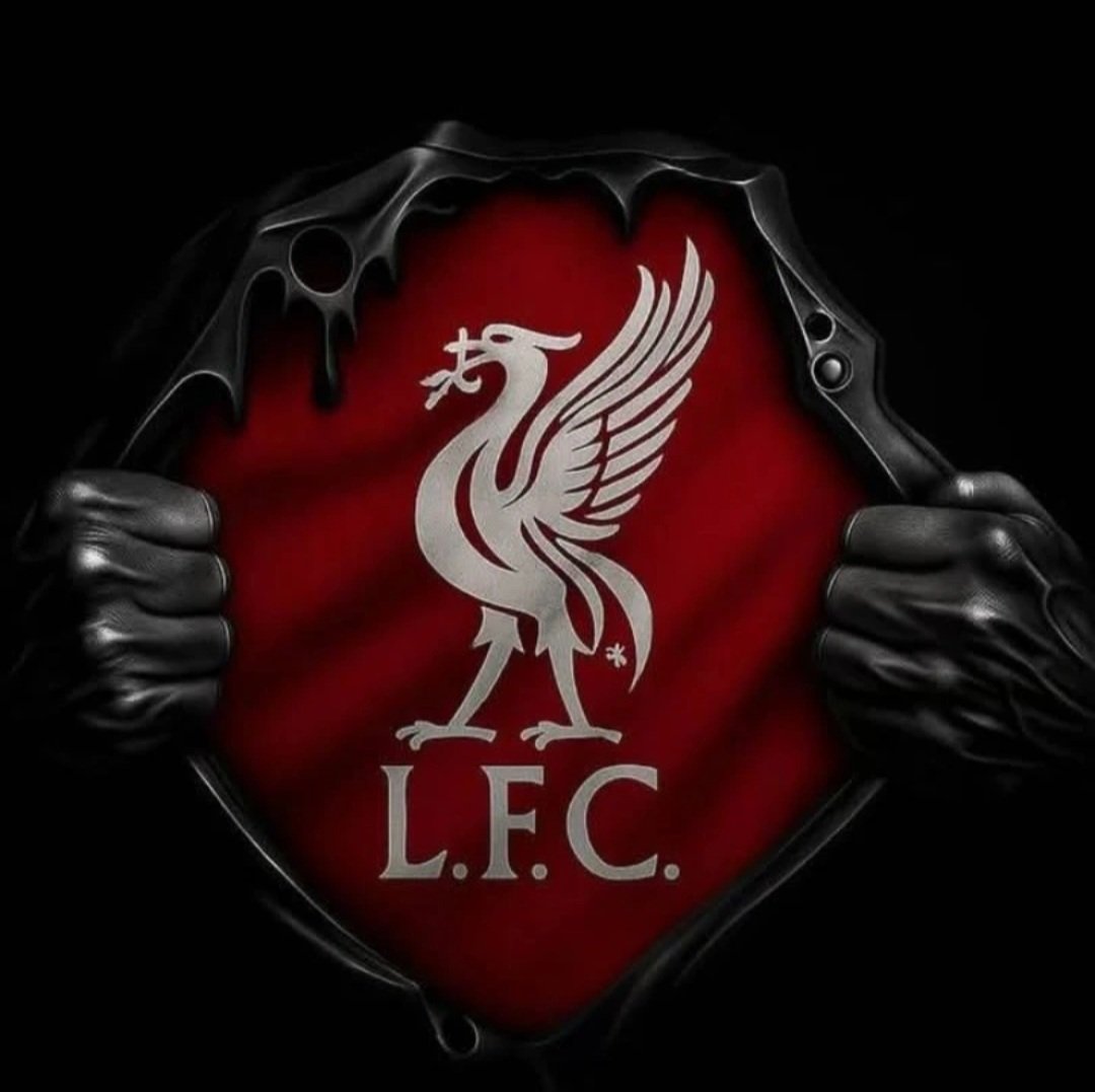 JohnsenStle's tweet photo. Born a Red, Live a Red, Die a Red! 🔴 #YNWA #UTFR #ThisMeansMore #JFT97 #KeepTheFaith #NeverGiveUp 
#WeAreLiverpool https://t.co/C6wIE3UwIp