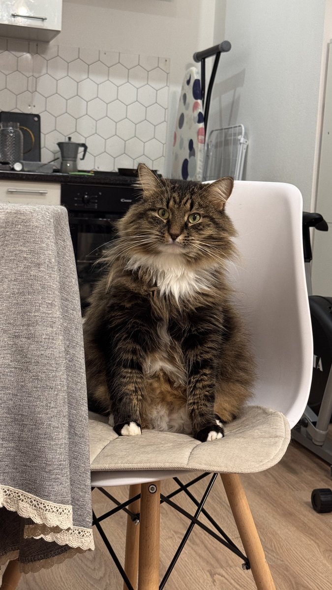 Какая то еда планируется в этом доме нет?