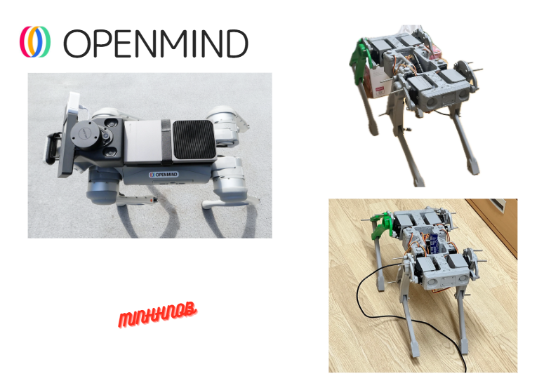 minhhnob's tweet image. And… here they are the actual prototypes I built myself 
Not perfect, not polished, but i love it.
From rough 3D-printed frames
→ to functional leg mechanisms
→ to a robot dog that can actually move…

Every version taught me something new.
Seeing these early builds next to…