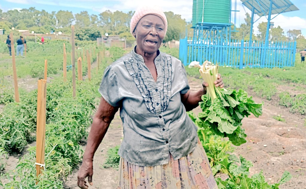 conrad mwanawashe tweet media