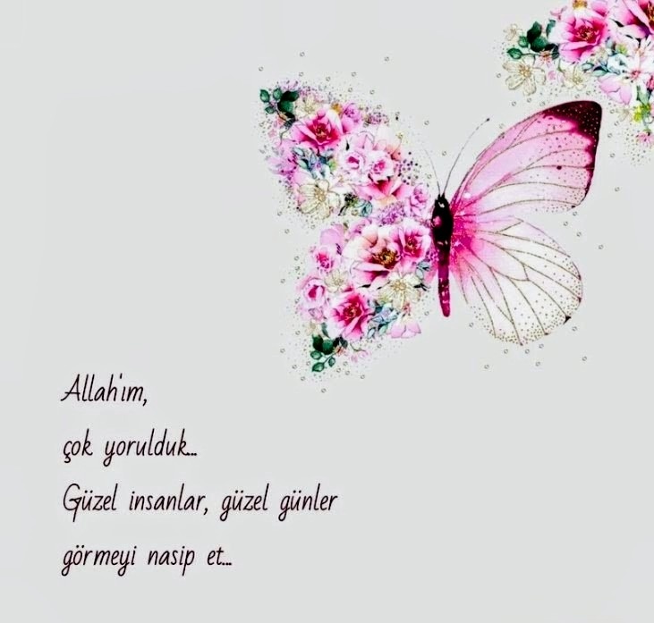 Günaydın büyük FENERBAHÇE ailesi 
       💙💛GünAydın💛💙 
Günümüz Sarı Laci Olsun
Bu Mübarek Günün 
Feyzi, Rahmeti, Bereketi, İhsanı 
Üzerimize Olsun.
Kalbiniz Nur Olsun
İbadetlerimiz Makbul, Dualarımız Kabul Olsun. 
Cumamız hayr olsun.
Selam ve dua ile