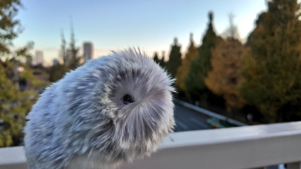 公式】Moflin（モフリン）｜感情が育つAIペット (@casio_moflin