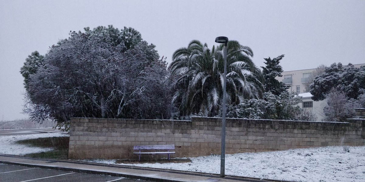 eMendigorria's tweet photo. Mañana blanca por Mendigorria 

@Meteonavarra_ @Navarmeteo_1411 @AEMET_Navarra https://t.co/TezT4dj30Q