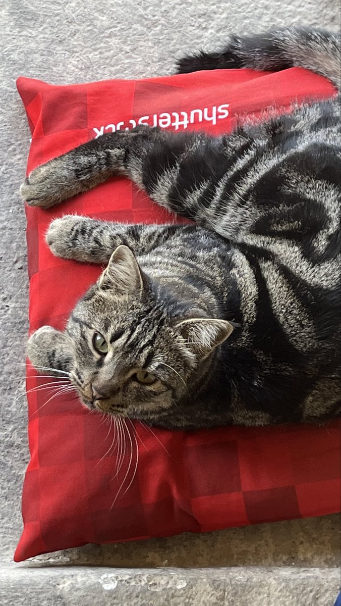 ToThatPoor's tweet image. آبان