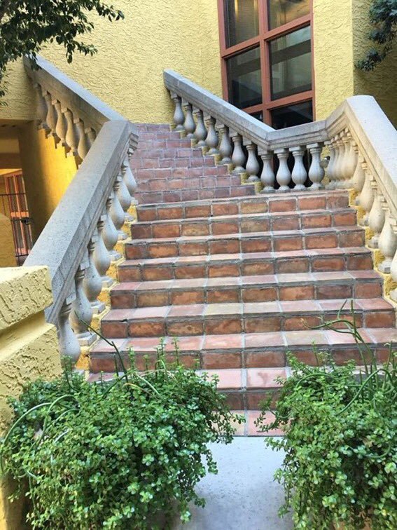 I'm very sociable. I like it when people come to my house. I even had a staircase built especially for them.