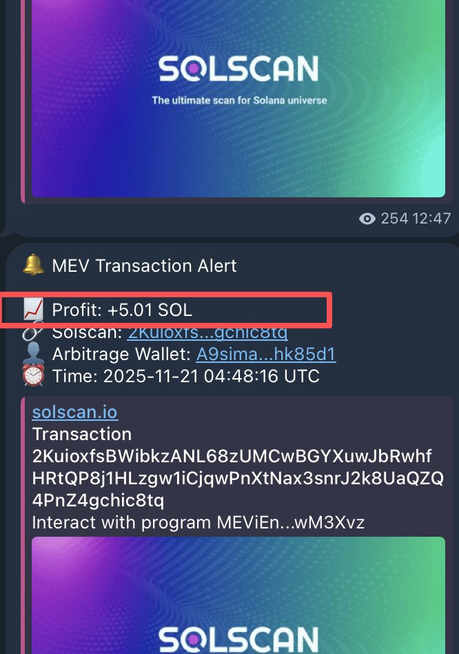 PULSE_Mev_Bot's tweet image. Navigate Bull and Bear Markets, Secure Stable Return.
PULSE Mev Bot.
#Solana #Web3 #PULSE #Arbitrage #Crypto