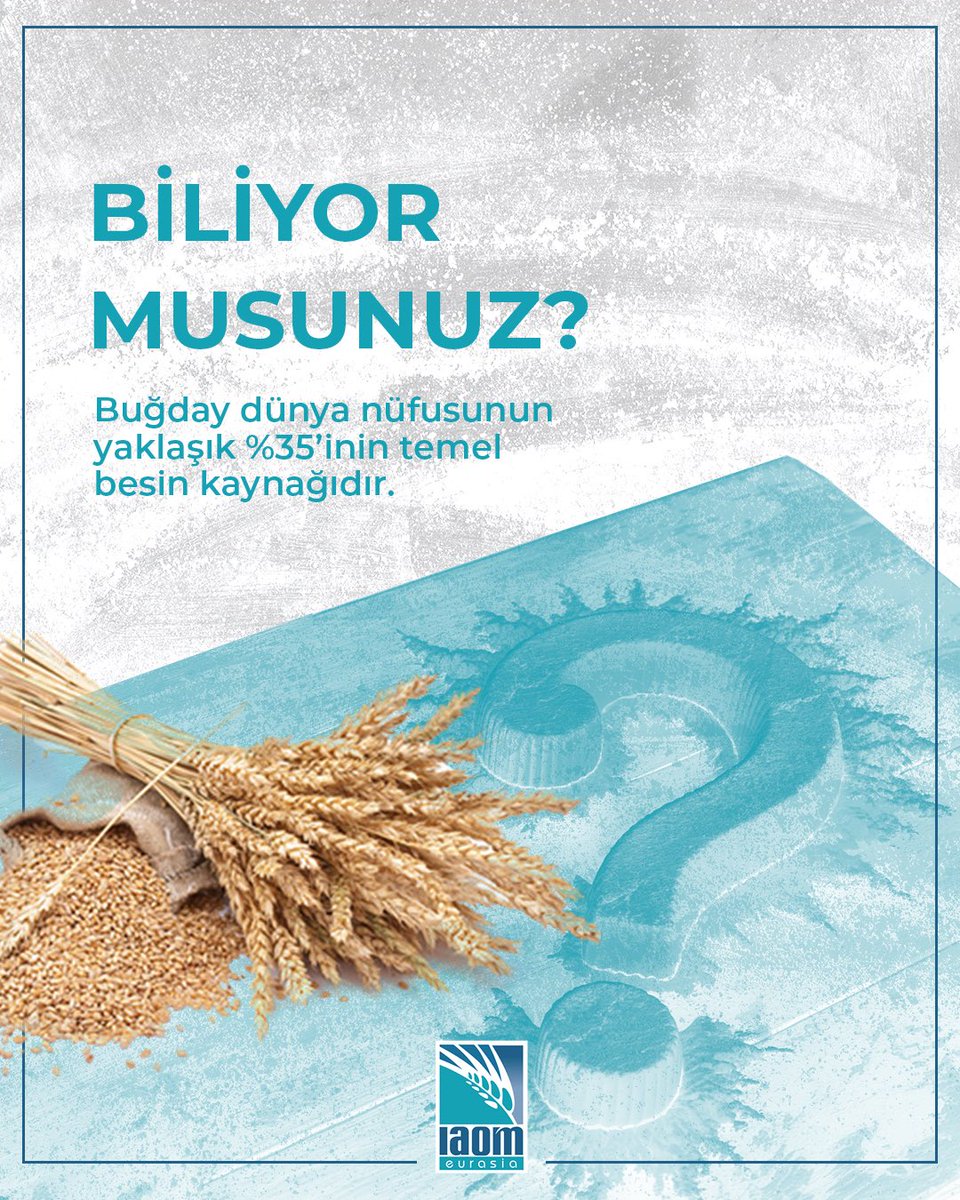 💡 BİLİYOR MUSUNUZ?

🌾 Buğday dünya nüfusunun yaklaşık %35’inin temel besin kaynağıdır.

👉 Tahıl endüstrisi, gıda güvenliği ve sürdürülebilir beslenmenin merkezinde yer alıyor.
Tahıl, sadece bir ürün değil; dünyanın enerji kaynağıdır.

#IAOMEurasia #BiliyorMuydunuz