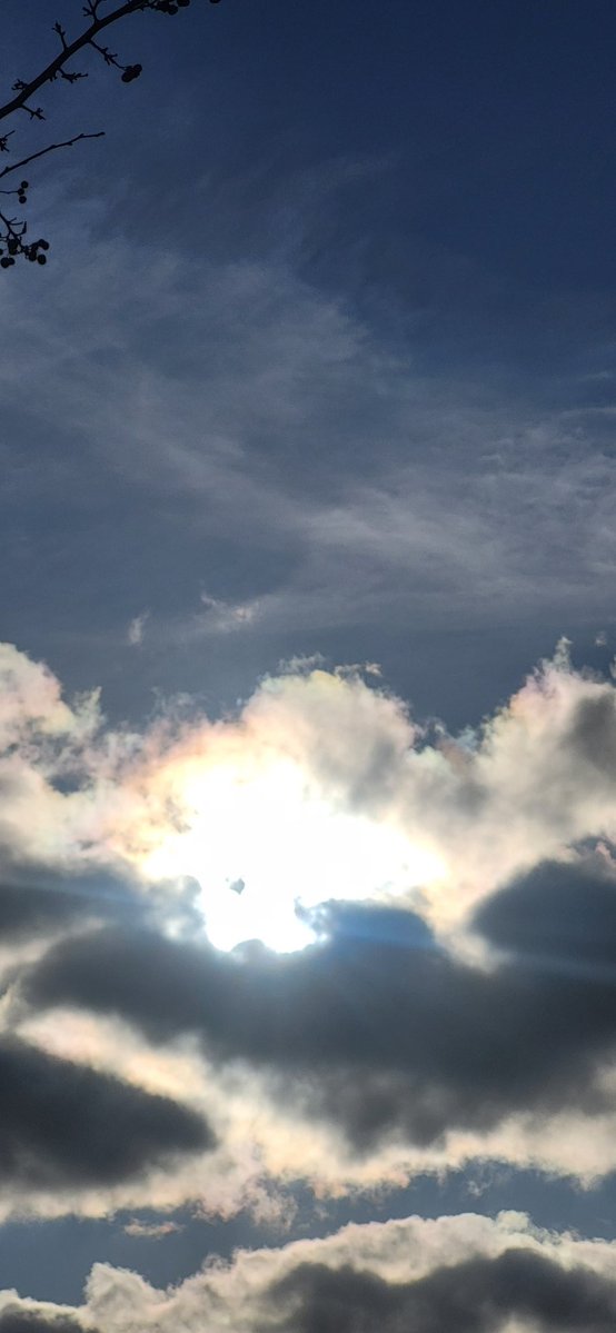 USiebmann's tweet image. Ein schönen guten Morgen an Euch