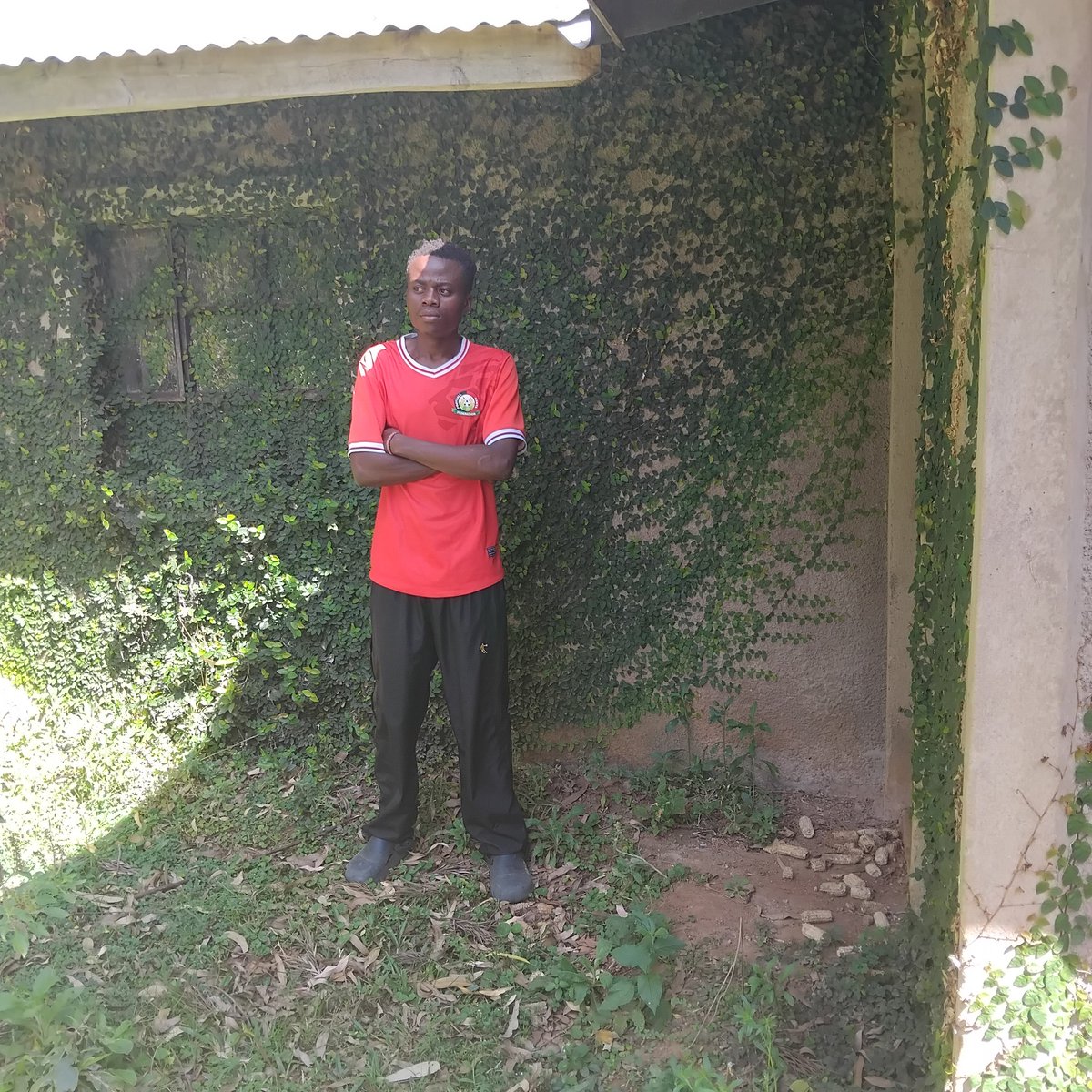 Day 2 ushago boma iko kama forest na nyumba imejaa ant hills.