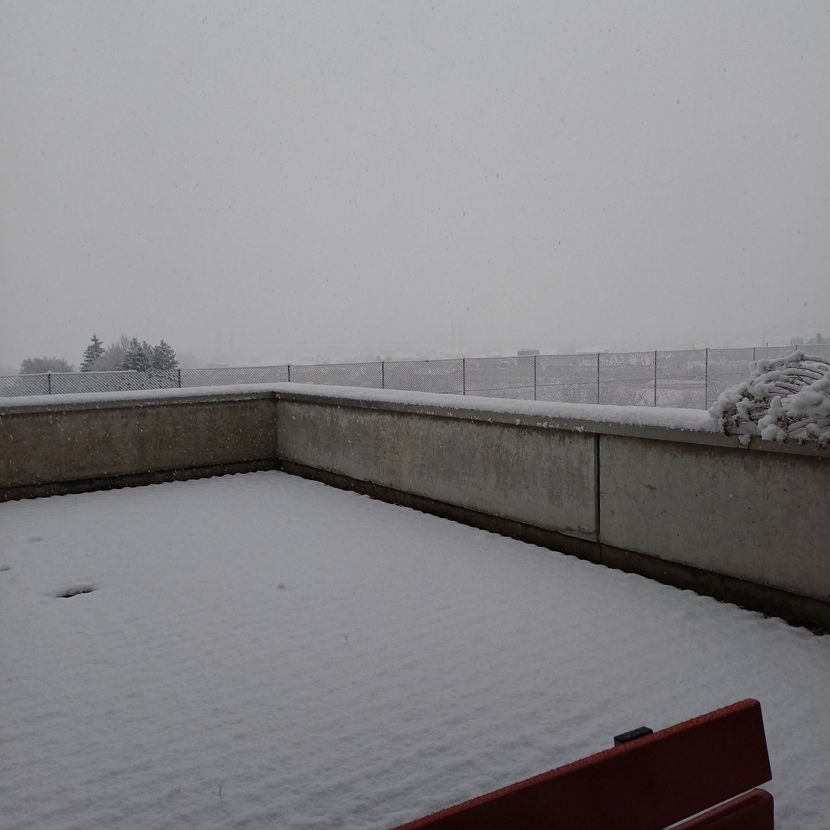 ♡ • ace • ♡ tweet media