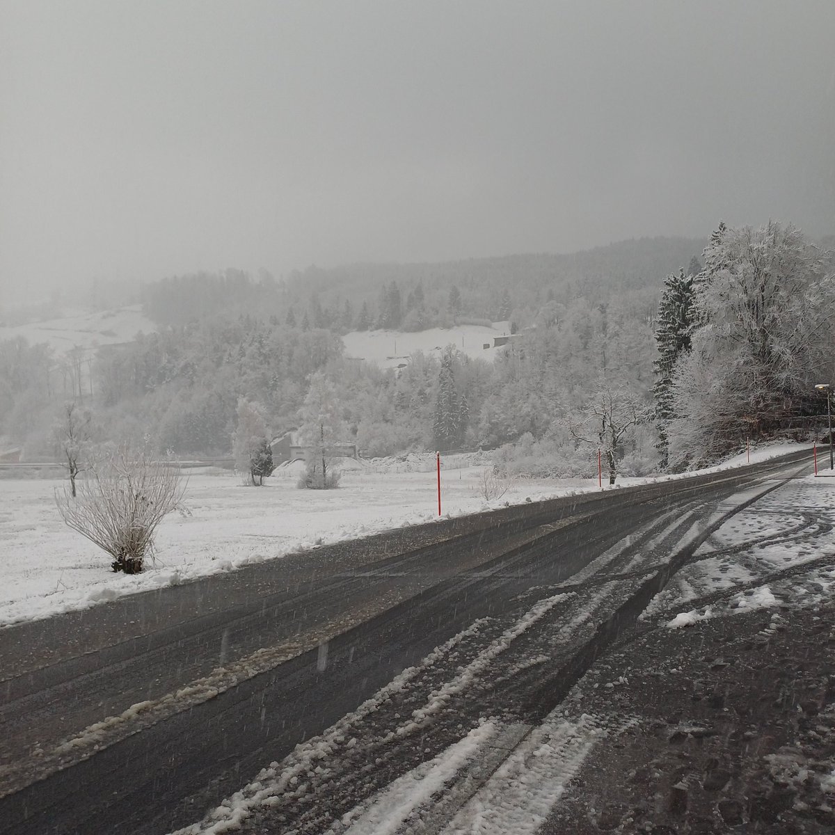 ♡ • ace • ♡ tweet media