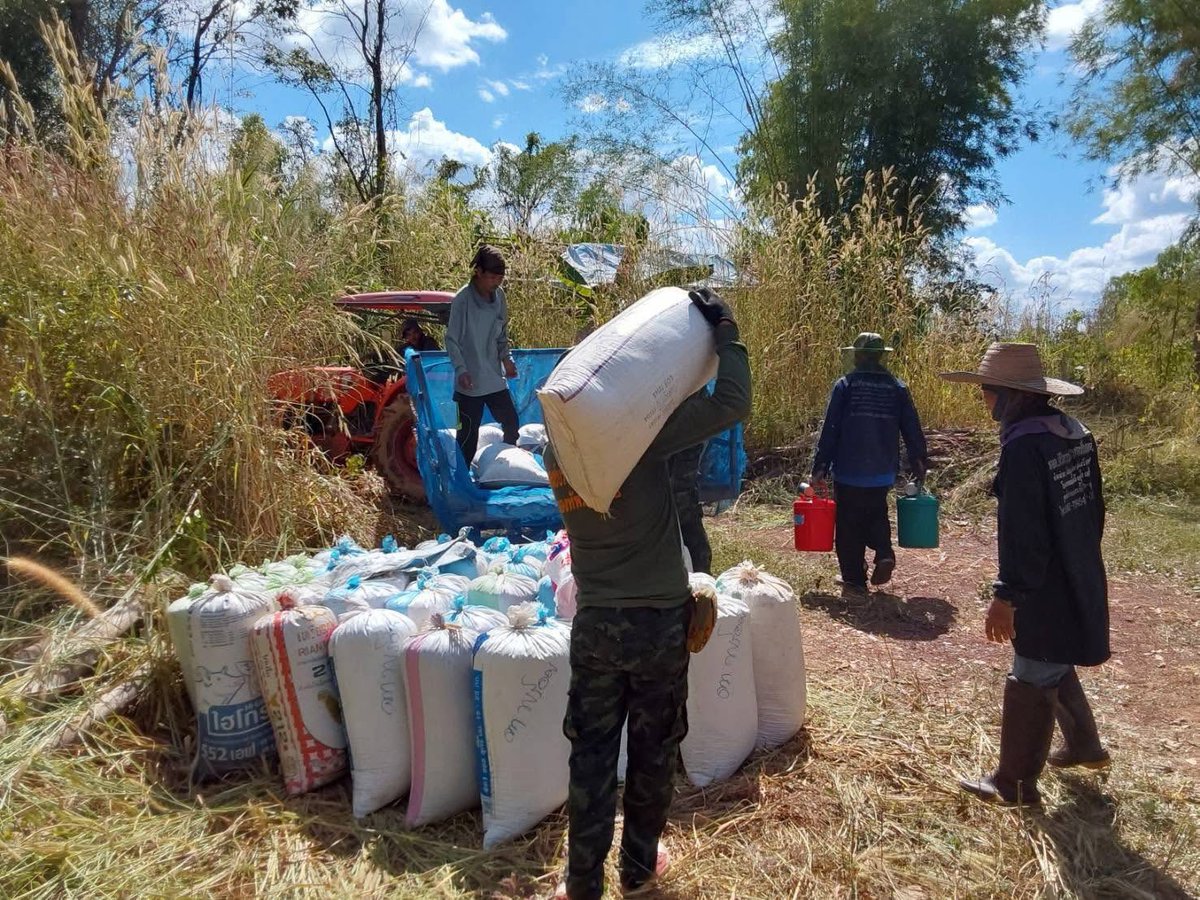 army2pr's tweet image. ชุดปฏิบัติการโครงการบ้านจาร กองพันทหารราบที่ 1 กรมทหารราบที่ 13 จัดกำลังจิตอาสาลงพื้นที่ช่วยชาวนาสีข้าวในเนื้อที่ จำนวน 4 ไร่ เพื่อเป็นการแบ่งเบาภาระค่าใช้จ่ายให้กับพี่น้องชาวเกษตรกร ณ บ้านจาร ตำบลม่วง อำเภอบ้านม่วง จังหวัดสกลนคร
#ช่วยเหลือเกษตรกร