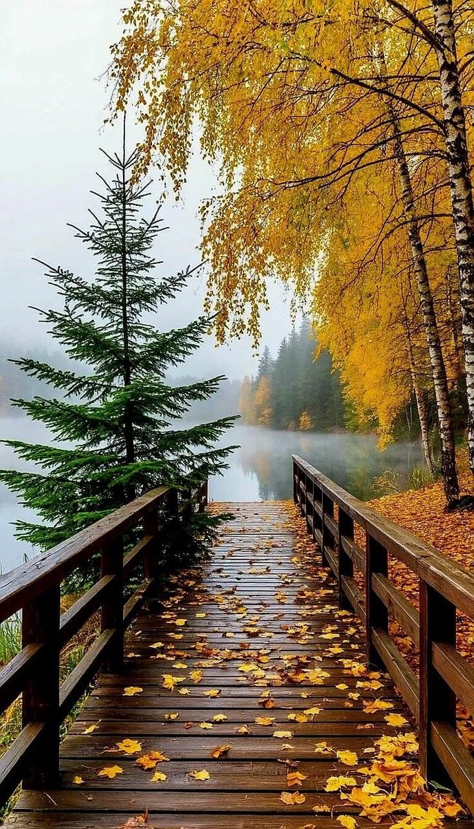 DisperseStar1's tweet image. Excellence in action;

&quot;We are what we repeatedly do. Excellence, then, is not an act 
but a habit built through 
daily practice:”—-

Aristotle
#exceltutorial #CarryOn #actionfigures