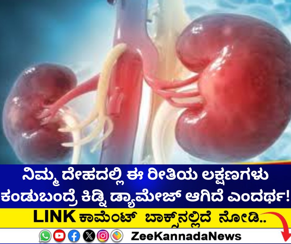 ZeeKannadaNews's tweet image. ಈ ರೀತಿಯ ಲಕ್ಷಣಗಳು ಕಂಡುಬಂದ್ರೆ ಕಿಡ್ನಿ ಡ್ಯಾಮೇಜ್‌ ಆಗಿದೆ ಎಂದರ್ಥ..!

#Kidneyproblems #urination #bloodinurine #fatigue #skinproblems #anemia #kidney

zeenews.india.com/kannada/health…