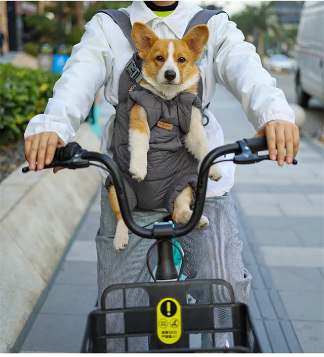 AuraOpul's tweet image. ❄️This is a portable, warm sanctuary designed to brave the cold so you and your pet can enjoy the season together. 🐱🐶❤️

👉 Get yours now auraopul.com/winter-warm-tr…

#WinterCatCarrier #CatBackpack #TravelWithYourCat #WinterPetGear #winterdogcarrier #DogBackpack #travelwithyourdog