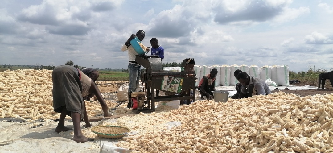 Reigncommodity's tweet image. We look forward to improving harvests among farmers