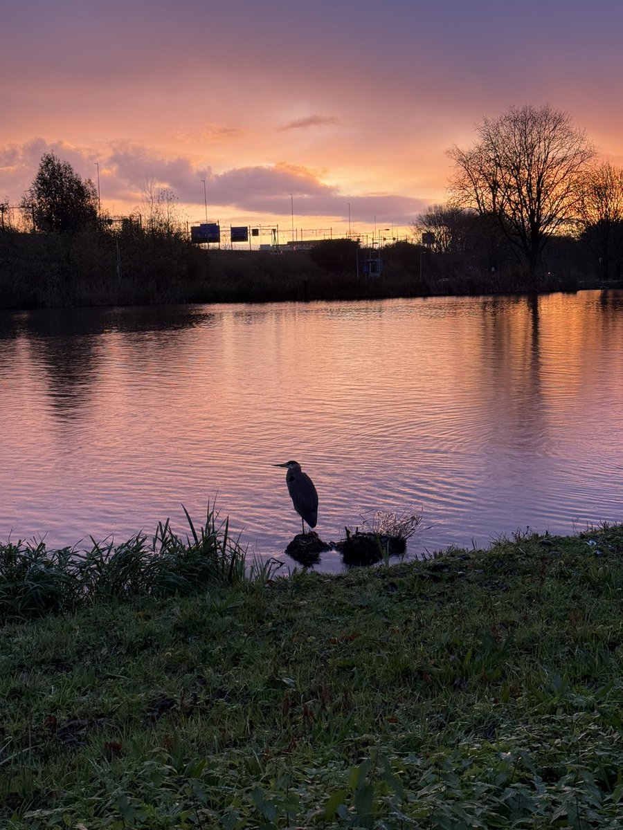 🏃🏽♂️🏃🏽♂️🏃🏽♂️ https://t.co/xK52kgXbj6