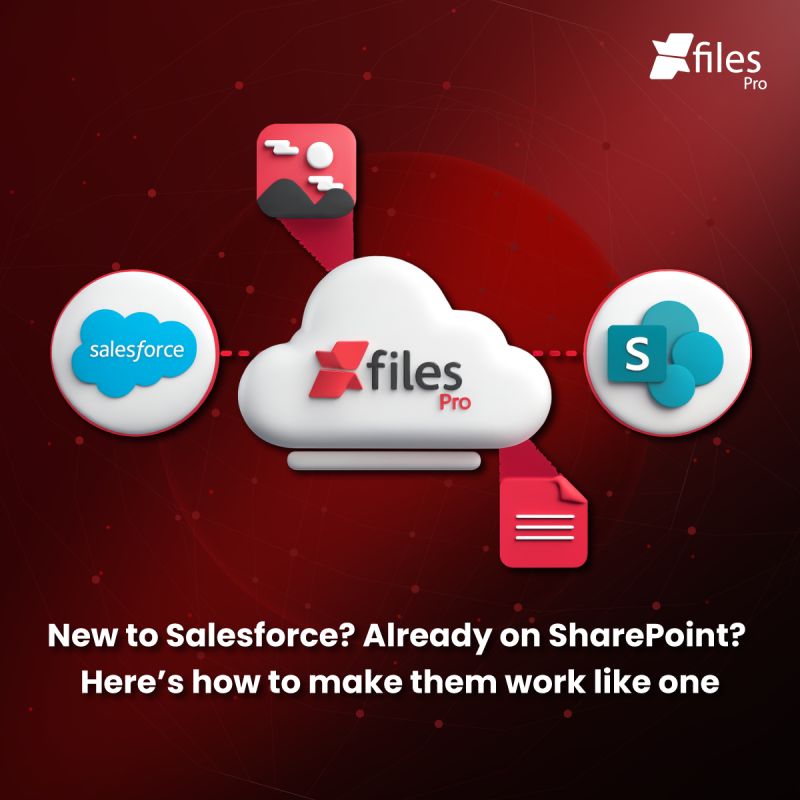 XfilesPro tweet media