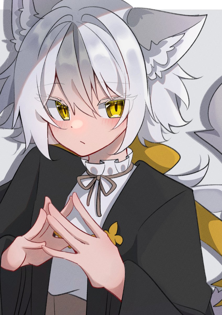 いぬ好き(ง ᵕωᵕ)ว♪ 恋犬ちわこ🐶♥️ (@chiwako0208) / Posts / X