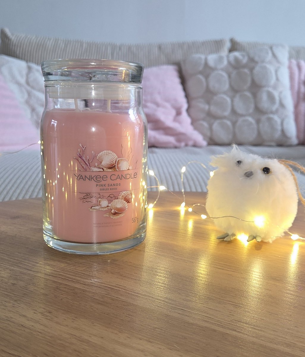 Meelaanie_'s tweet photo. La merveille que je viens de recevoir ❄️ 
Un mélange d'agrumes et de fleurs que j'adore, l'odeur est parfaite et douce. #yankeecandle #bougie https://t.co/HKggvlGccb