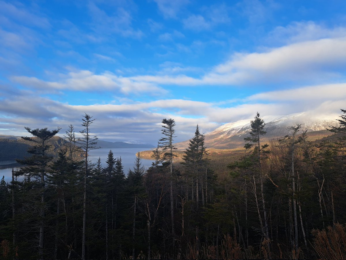 On my way up the Northern Pen., for work I couldn't help but pull over and think <a href="/stan_sdcollins/">Stan Collins</a> would have loved this one. Stan, this platform is a lot less bright and colourful with you gone. You are missed.