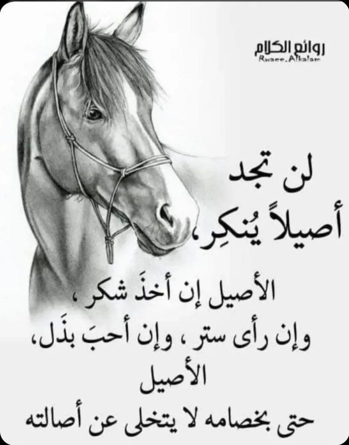 الأصيل اصيل