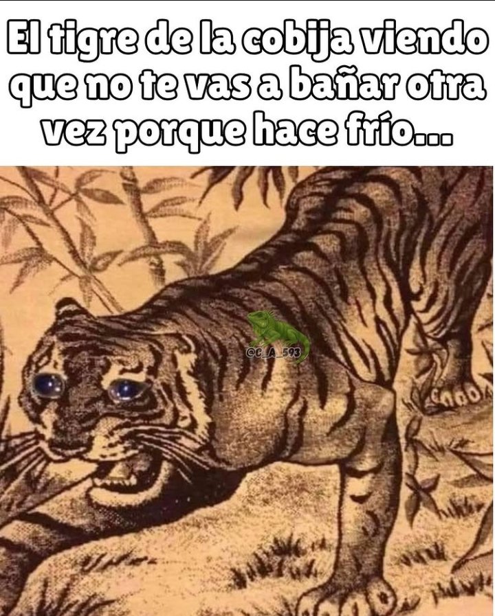 seguetroteseele's tweet image. 😂 buenos días, no sean así 🤣