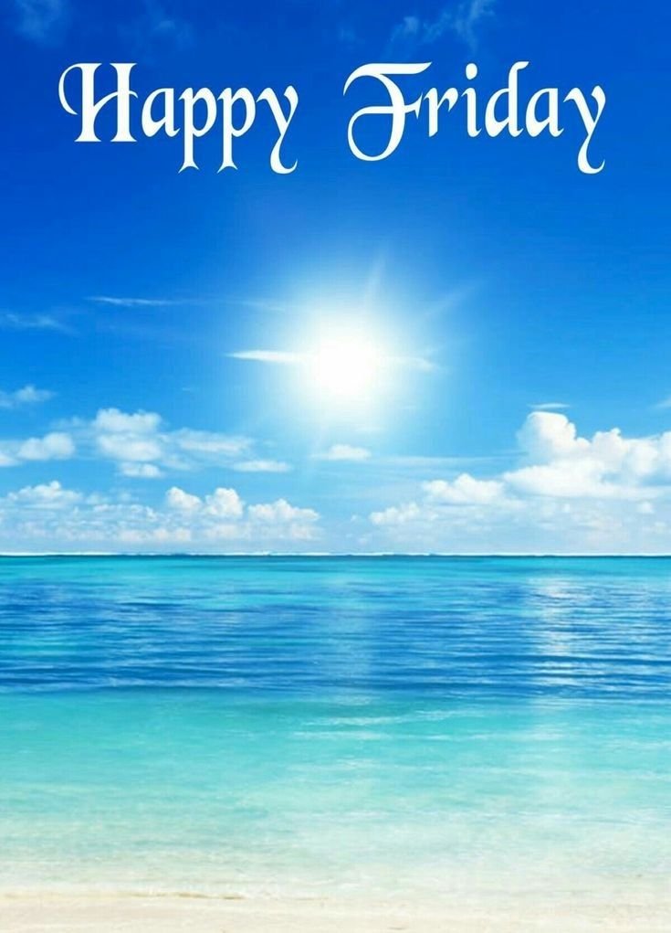 ElaraNotesulo's tweet image. 