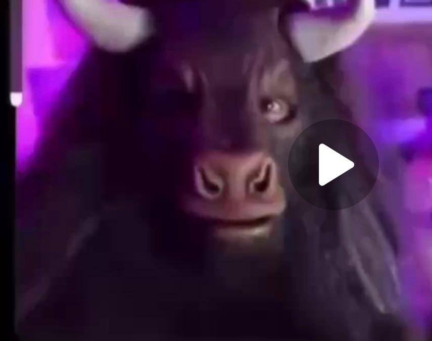 1 502-510-3789 tweet media