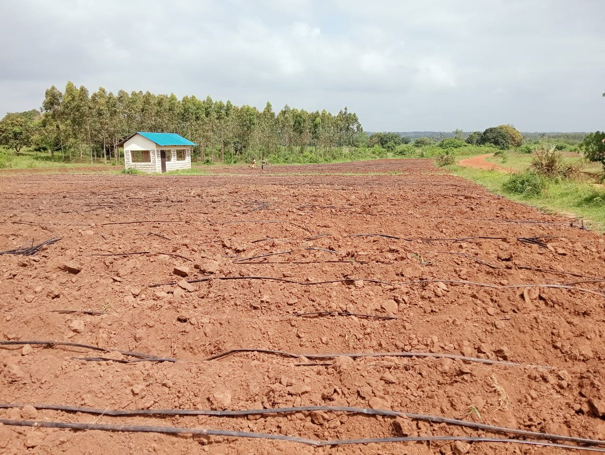 Financing Locally-Led Climate Action Program tweet media