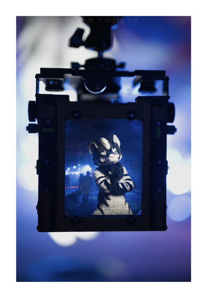 LigerRoxy tweet media