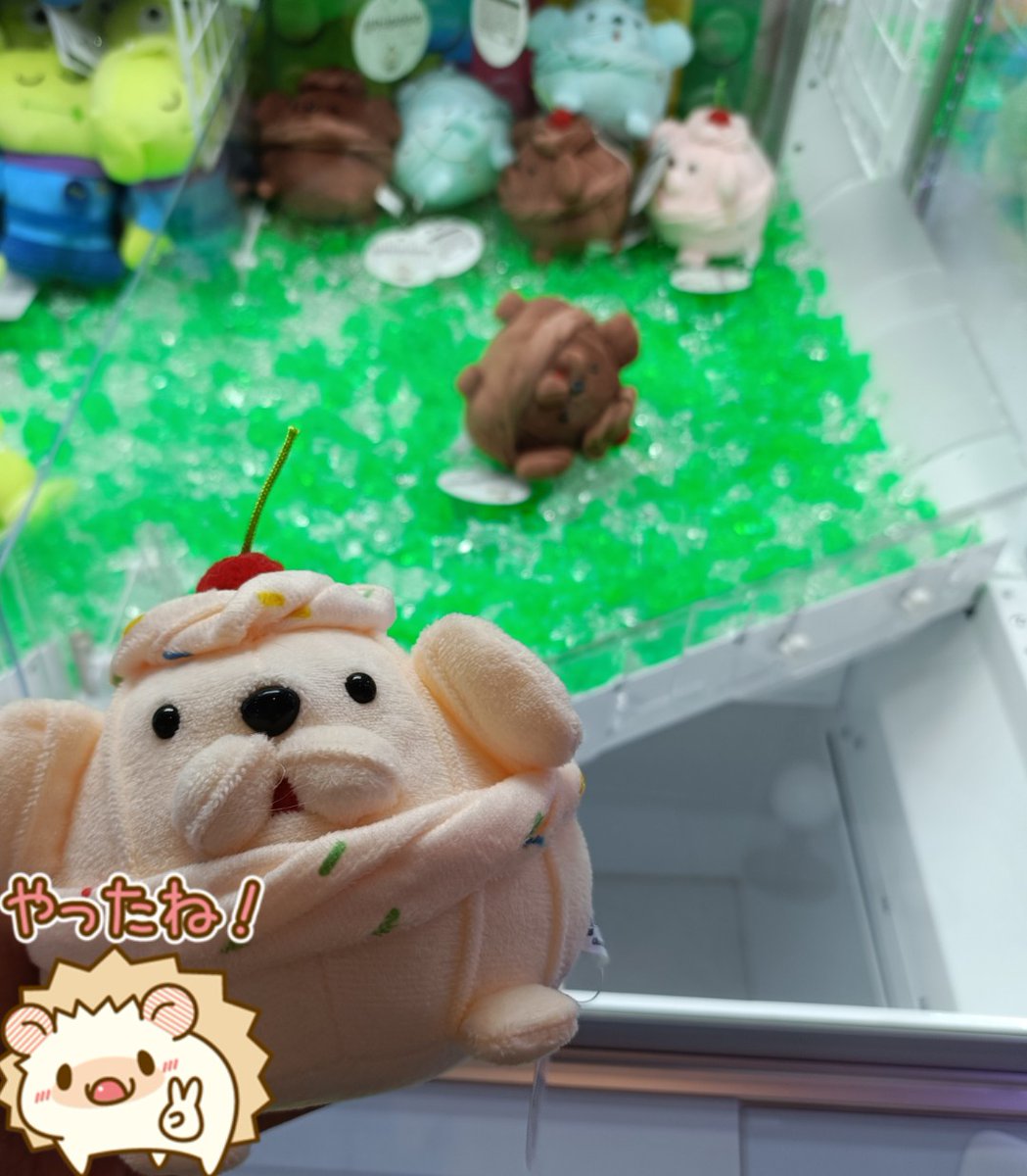 choco3_ff's tweet image. ホイプー捕獲してきた！チョコフレーバーの方は獲れなくて一度諦めたけど夫が代わりに取ってくれてありがたや🤤
ちなみに一枚目の不自然なスタンプは私の砂漠のような汚え手を隠すための物です笑
#ホイプー