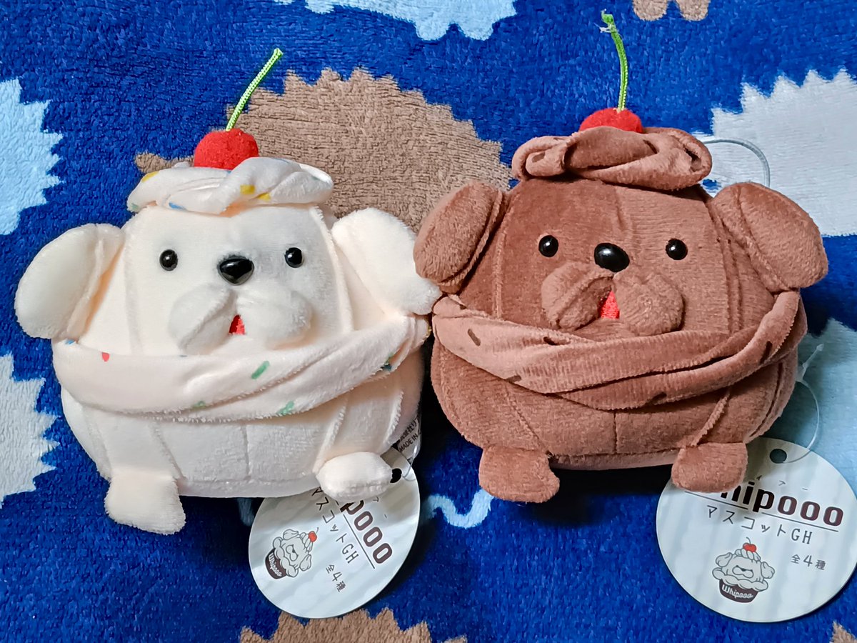 choco3_ff's tweet image. ホイプー捕獲してきた！チョコフレーバーの方は獲れなくて一度諦めたけど夫が代わりに取ってくれてありがたや🤤
ちなみに一枚目の不自然なスタンプは私の砂漠のような汚え手を隠すための物です笑
#ホイプー