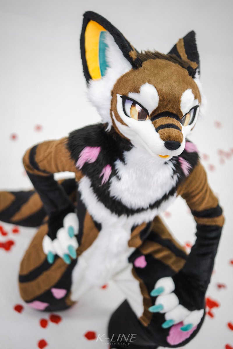 本日K-LINE様より扉守(ひもり)をお迎えしました！
これから色んなイベントへ連れて行くので見かけたらぜひ遊んであげてください！🐕✨

#kemonoline
#Banken
#FursuitFriday