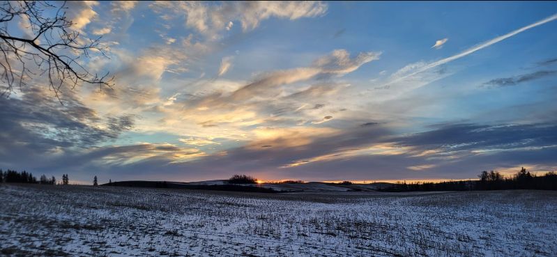 We'll deal with it after harvest - mailchi.mp/758915ca1fea/d…