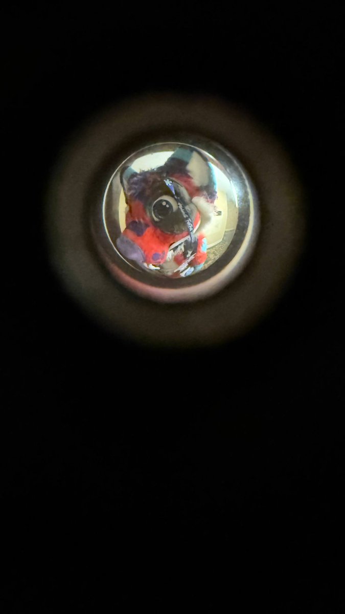 Is anyone in there? Come out its #fursuitfriday let's be fluffy!!!

Hope everyone's Fridays are amazing!

#fursuit #fursuiter #FursuitEveryday