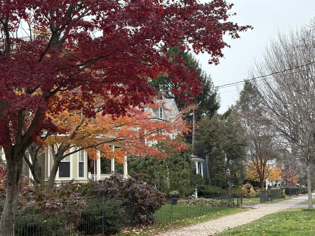 Still some colors on my morning walk